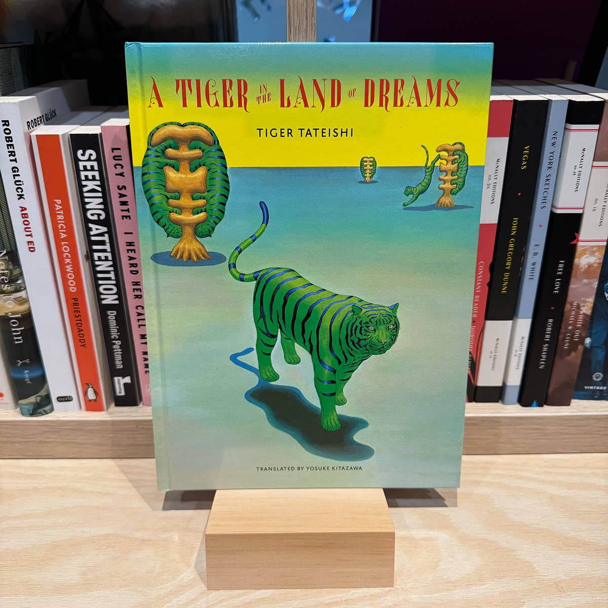 A Tiger in the Land of Dreams picture book by Tiger Tateishi