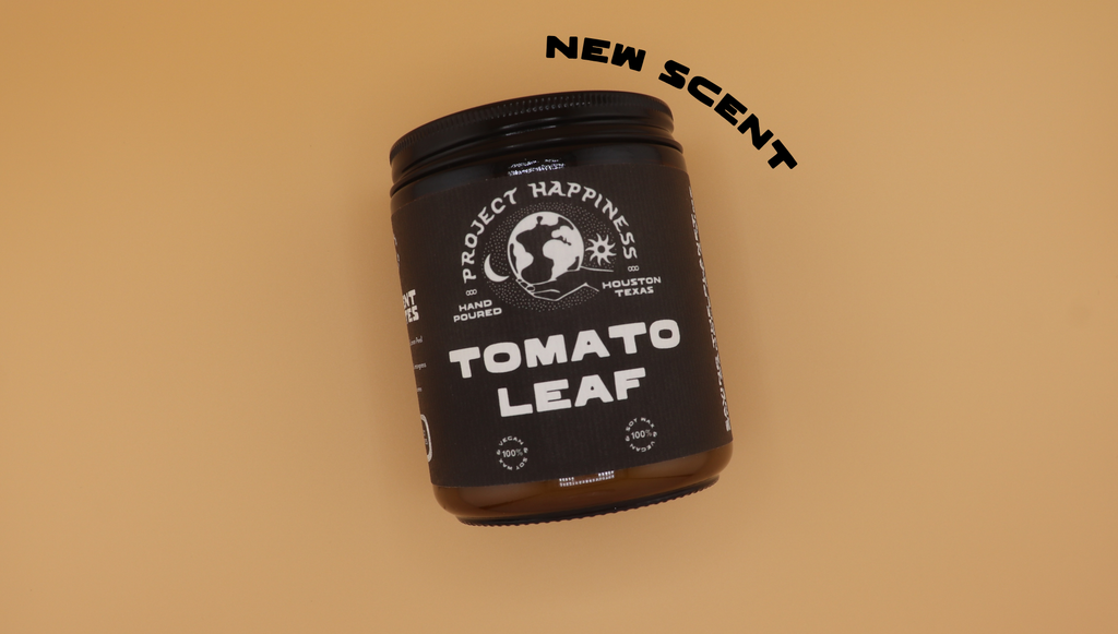 Tomato Leaf Soy Candle - 8oz | Spring Scent