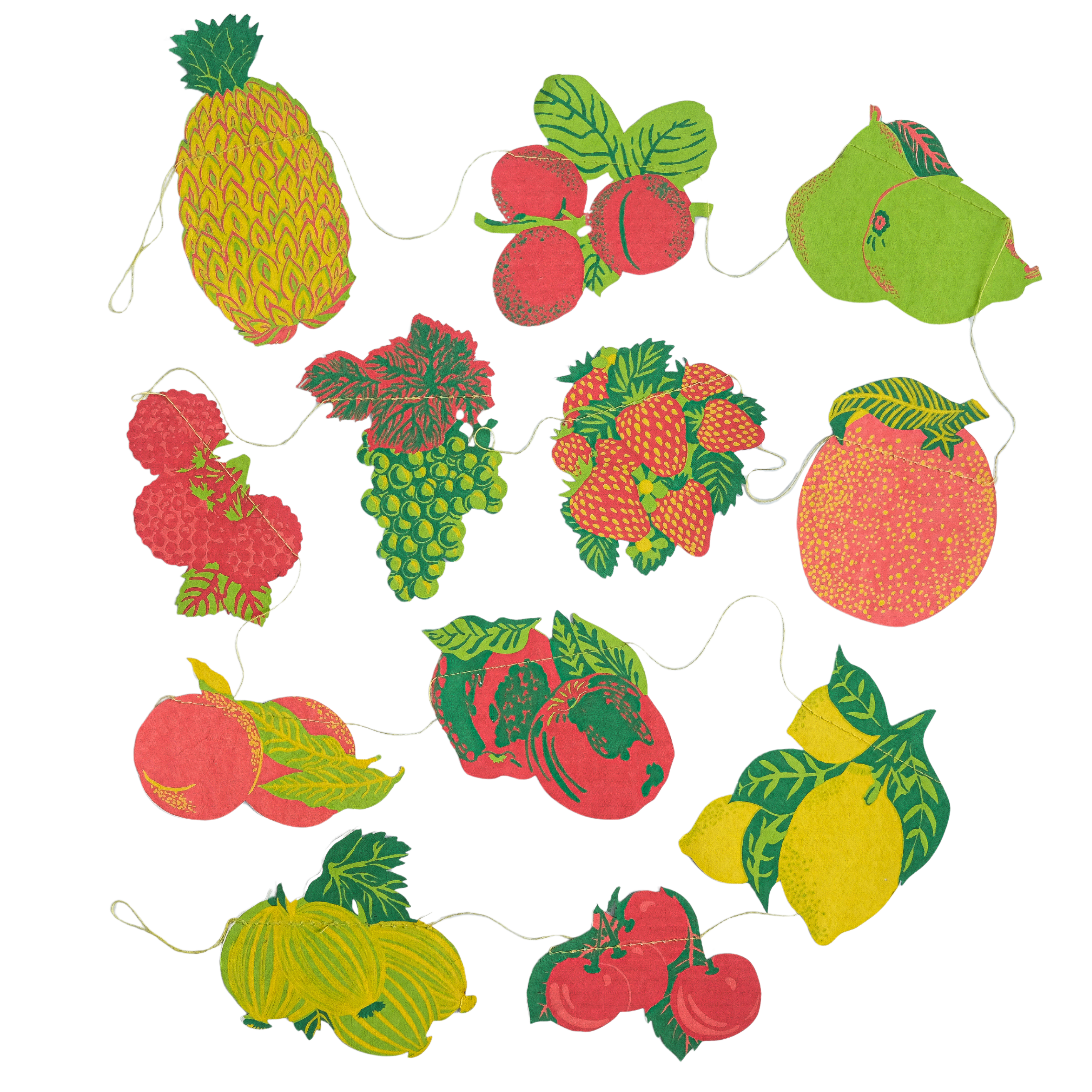 FRUIT SEWN GARLAND