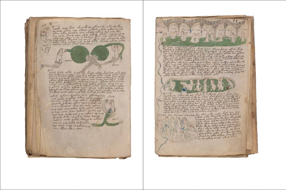 The Voynich Manuscript: