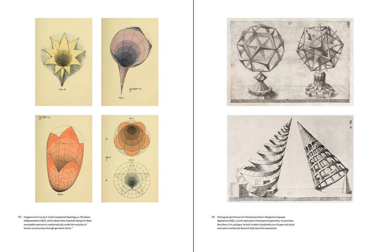 Affinities: A Journey Through Images From the Public Domain