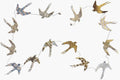 5ft Paper Garland Metallic swallows.