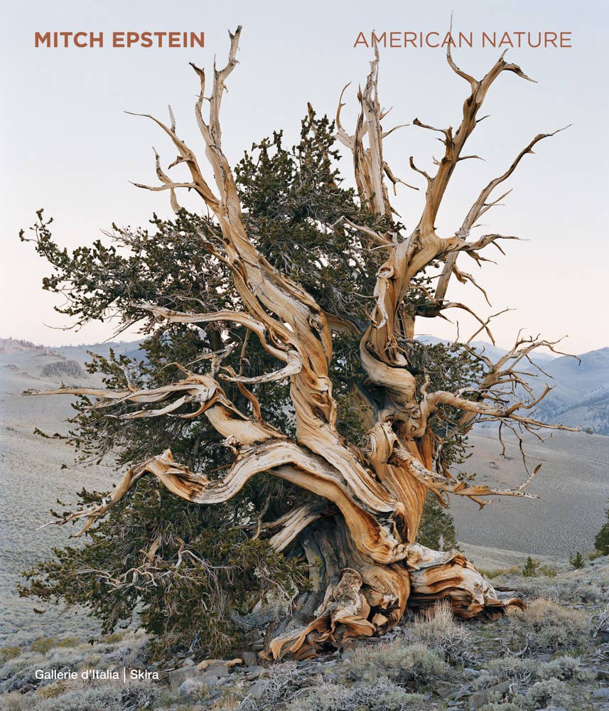Mitch Epstein: American Nature