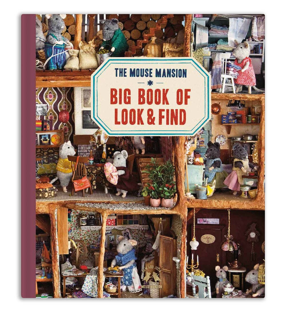 Sam & Julia - Big Book Of Look And Find - English