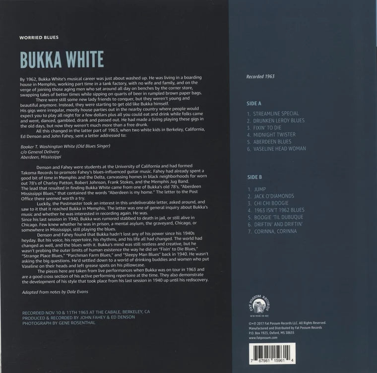 Bukka White - Worried Blues LP