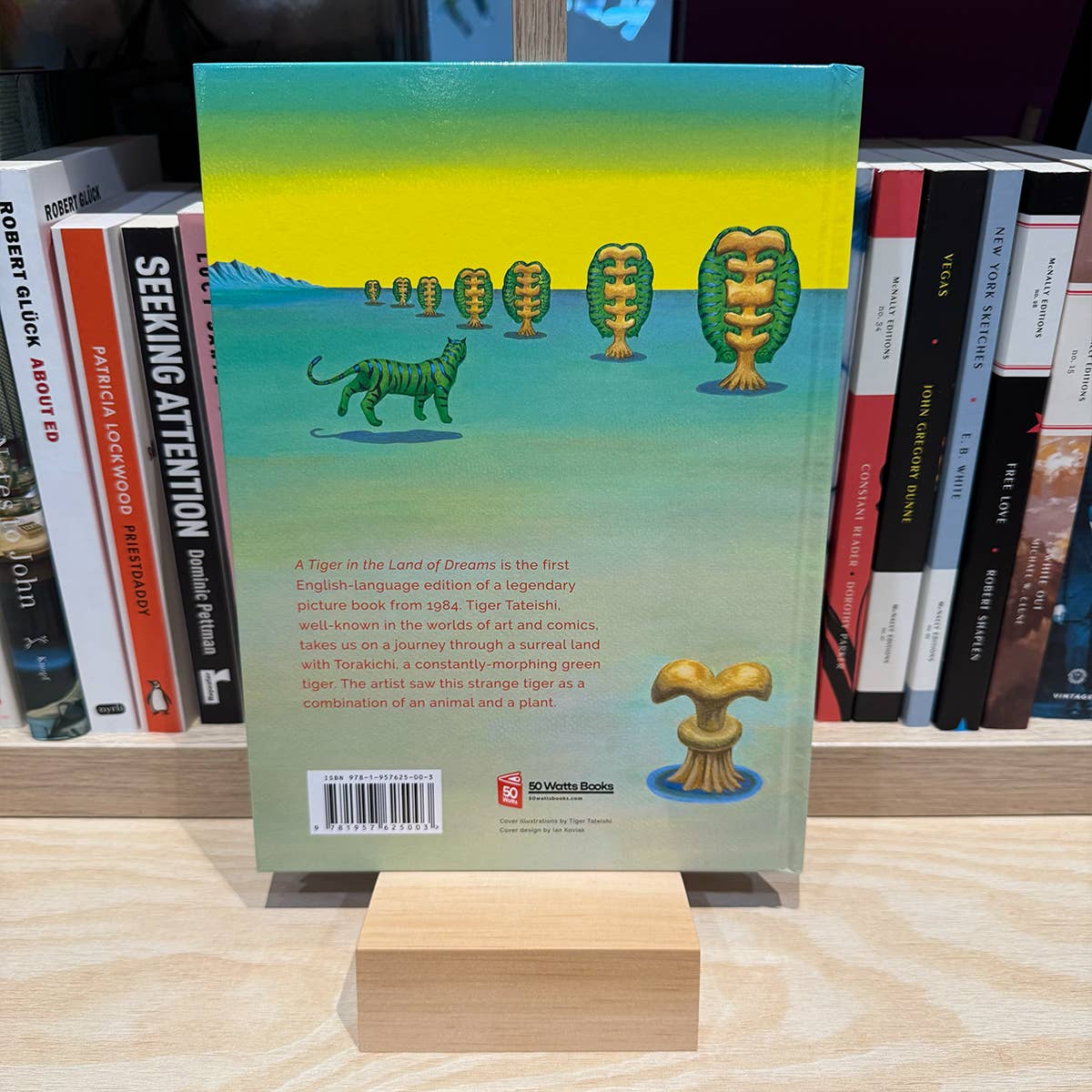 A Tiger in the Land of Dreams picture book by Tiger Tateishi